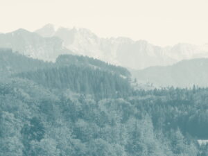 Bewaldete Hänge mit dem Kaisergebirge im Hintergrund